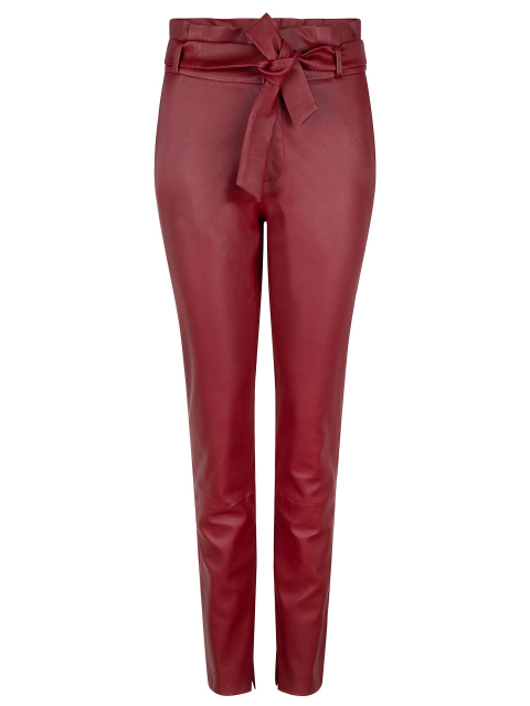 Carrey stretch leather pants